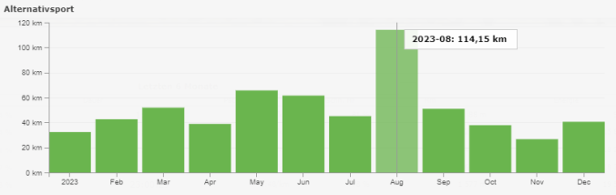 Mit 114 km war der August mein stärkster Monat 2023 (Quelle: RUNALYZE)