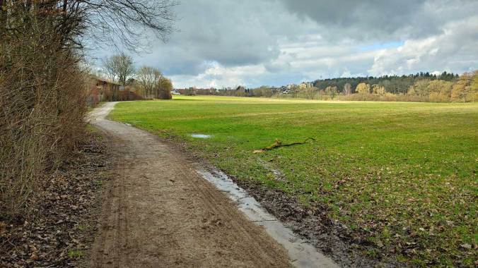 Ein weiterer Zehner mit vollem Kopf