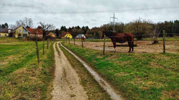 Endlich wieder laufen, auch wenn es hart war