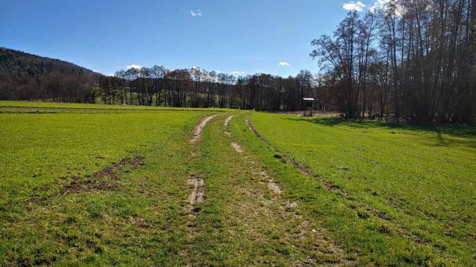 Nüchternlauf am Sonntag zu den 47 km diese Woche