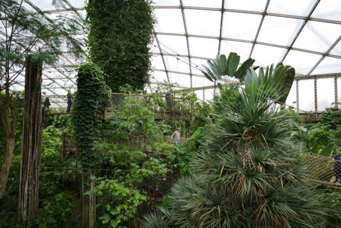 Das Gondwanaland lädt zu Erkundungen ein