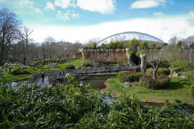 Das weitläufige Affengehege von außen