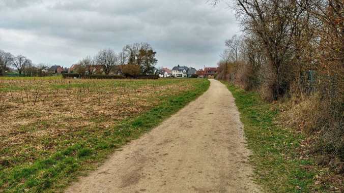 Wilder Mittagslauf mit knapp bemessener Zeit