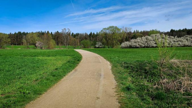 Nach 5 Tagen Erkältungspause (natürlich während des Urlaubs) heute ein erster vorsichtiger Versuch