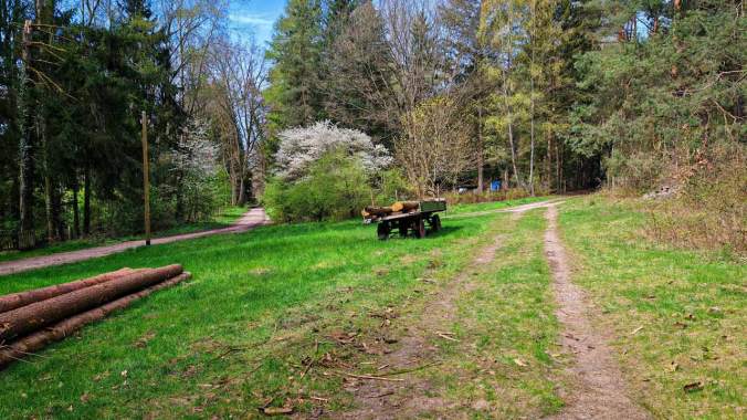 Es war fast schon zu warm und die Erkältung steckt mir immer noch in den Knochen
