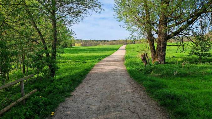 Erster Lauf nach einer Woche Erkältungspause: mental und körperlich echt hart
