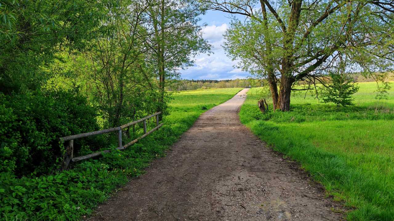 Ein weiterer Lauf durch die Kälte, vermutlich vorerst zum letzten Mal