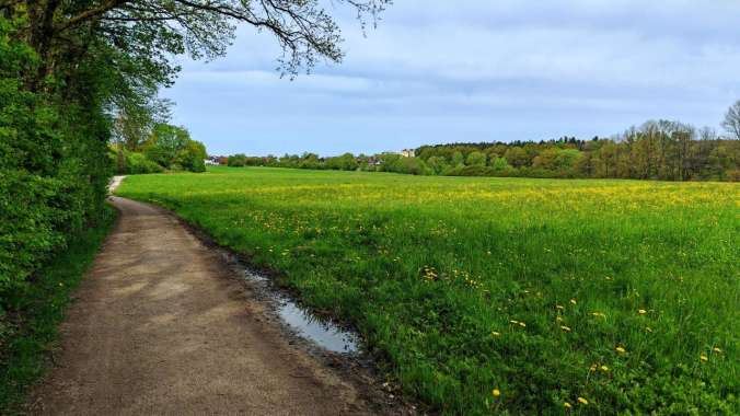 Harter Mittagslauf an vollem Tag