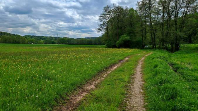 Schöner Samstagslauf mit perfektem Laufwetter