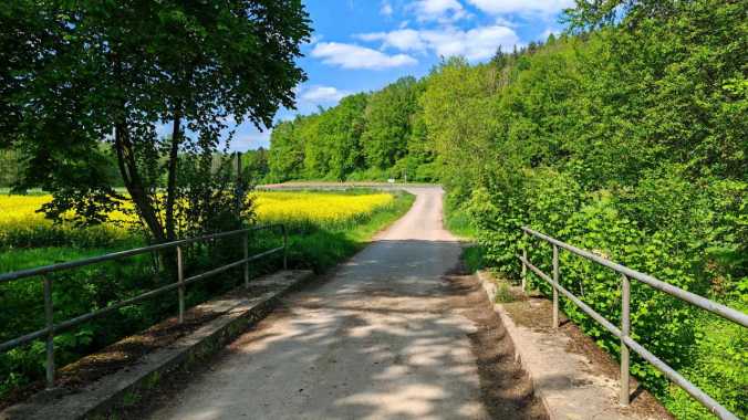 Vatertagslauf bei bestem Wetter