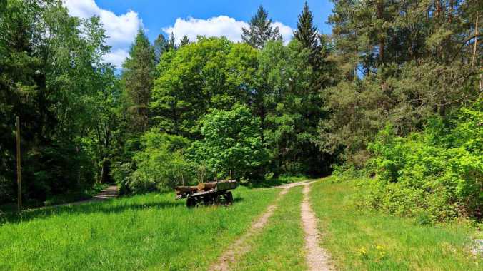 Sonniger Mittagslauf an nicht brückigem Brückentag