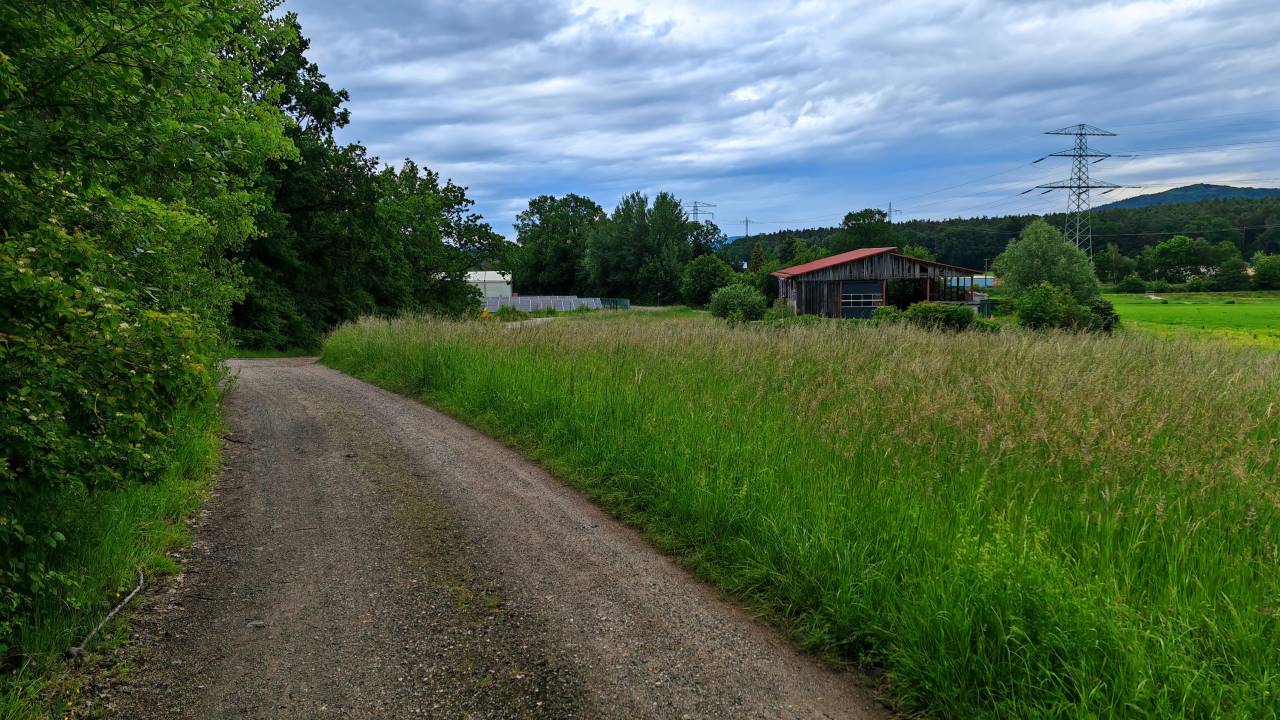 Die ersten 1.000 km des Jahres sind im Kasten