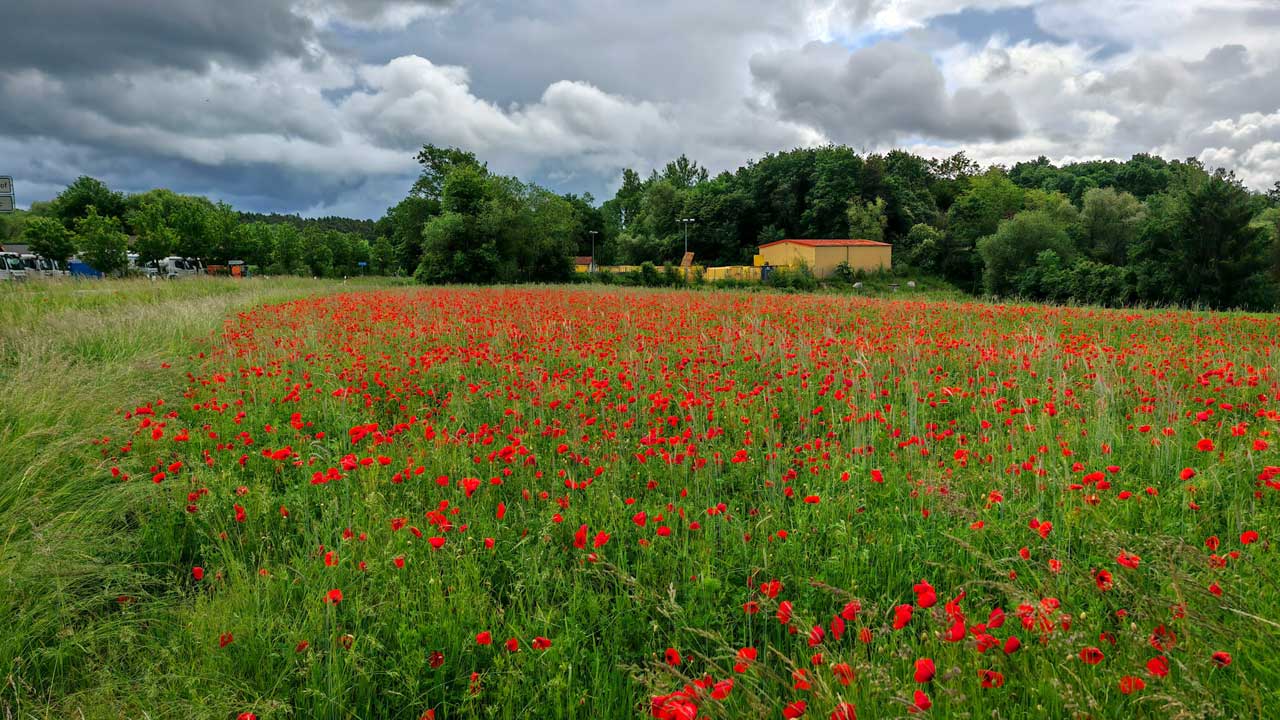 Zu dem Zeitpunkt war ich noch trocken, danach Wolkenbruch