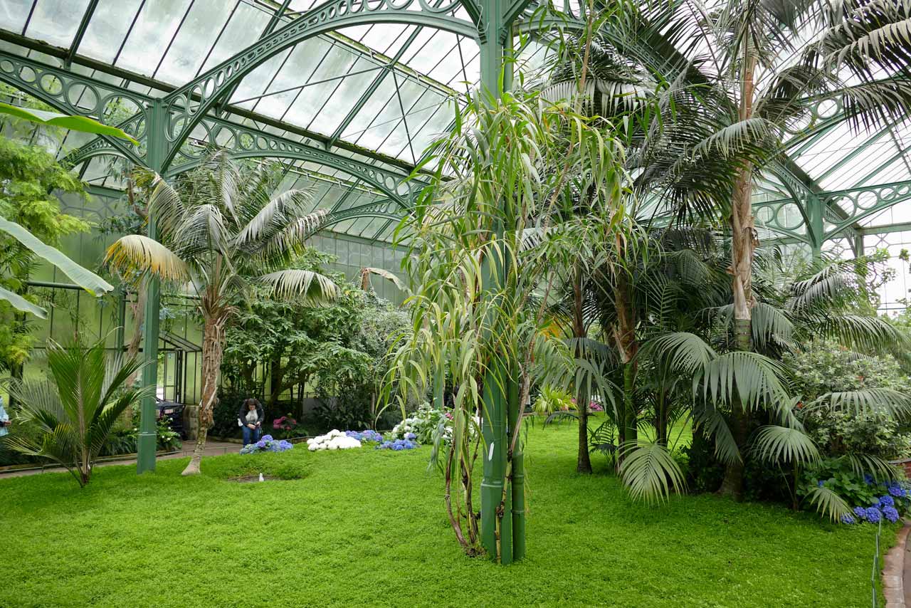 Botanik ist ein großer Schwerpunkt des zoologisch-botanischen Gartens