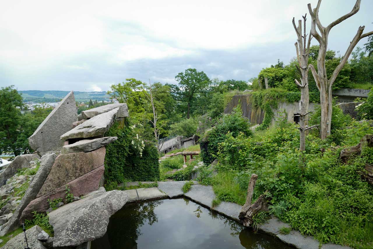 Brillenbärengehege mit Ausblick