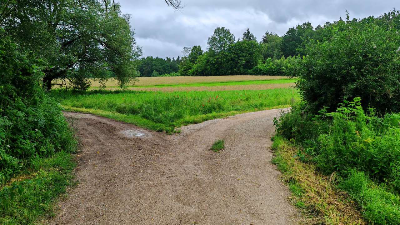Kopf frei laufen am ersten Arbeitstag nach dem Urlaub