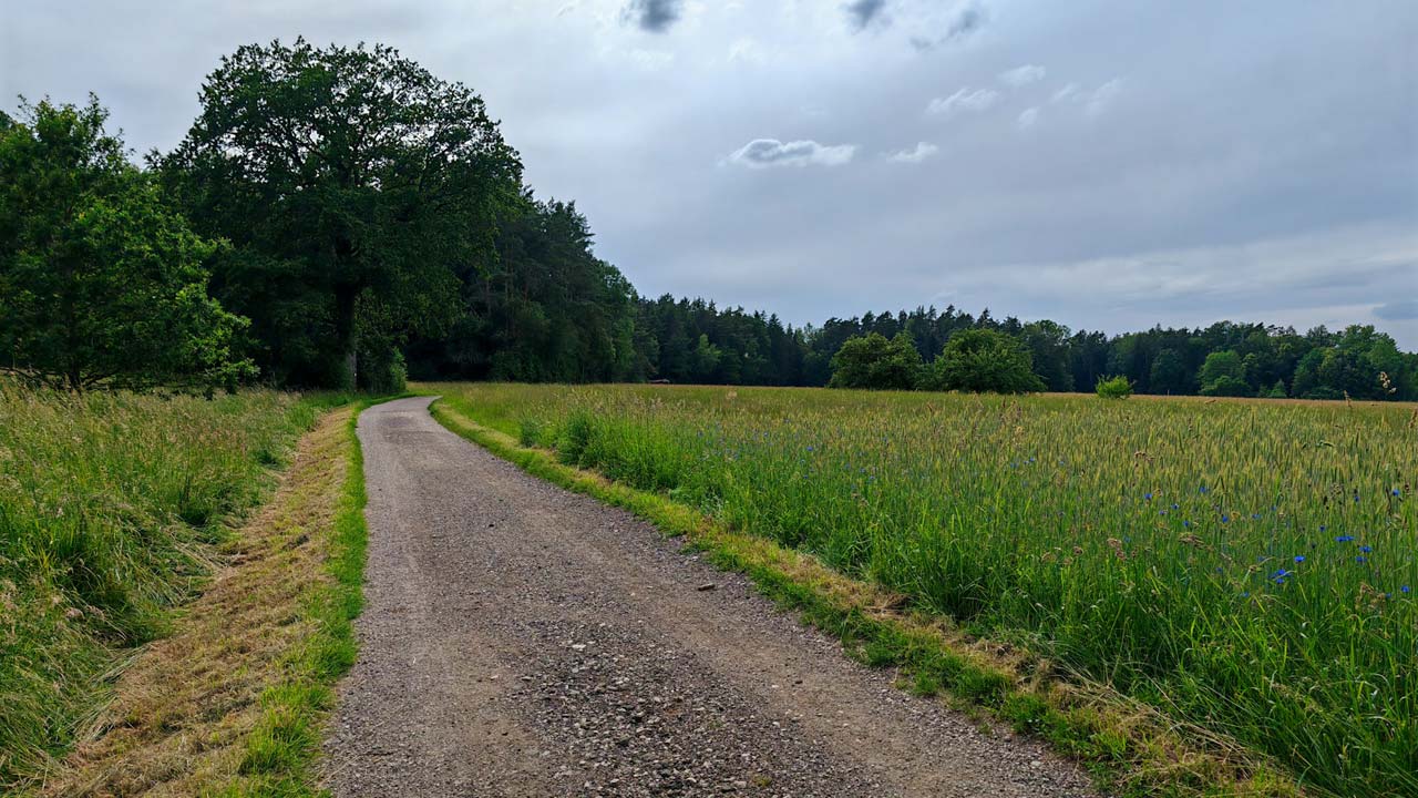 Entspannungslauf nach hartem Wochenende