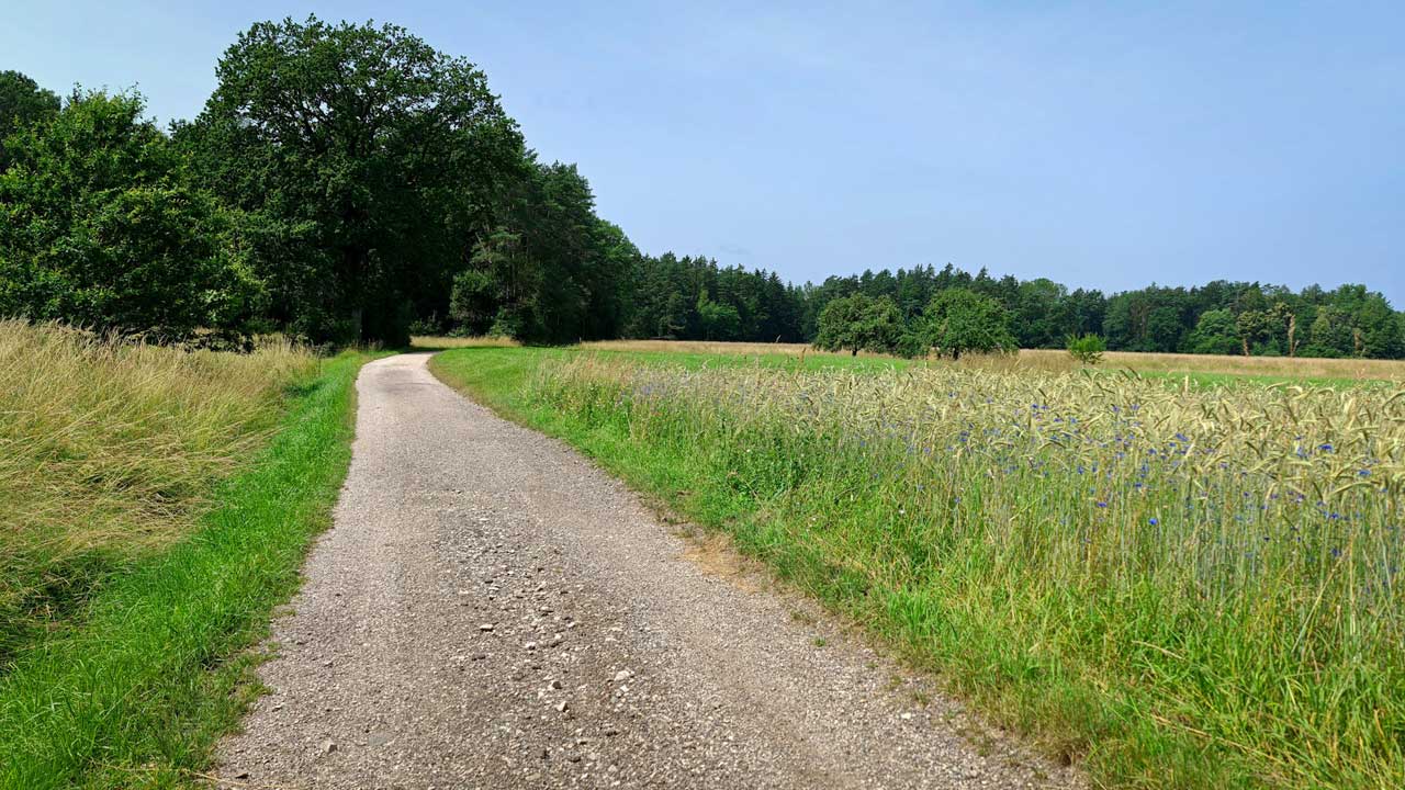 Für den geplanten Halbmarathon war es mir zu heiß, doch immerhin die 200 km im Juni sind geknackt