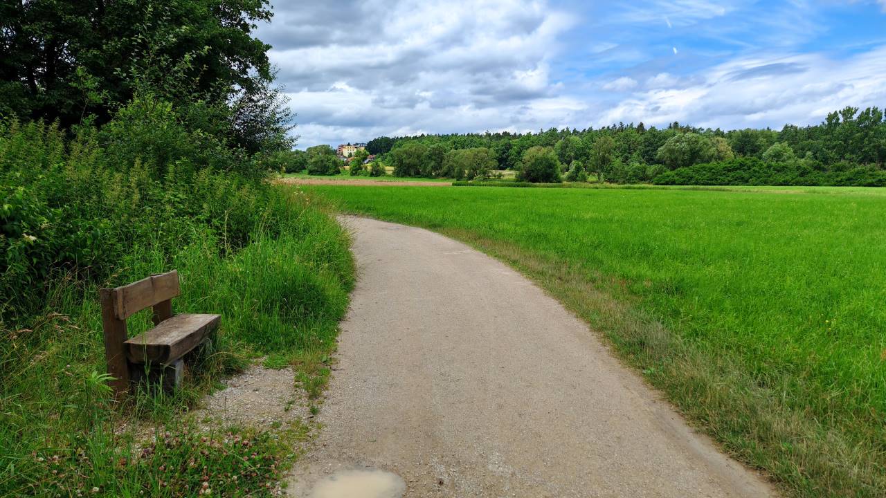 Überaus träger Mittagslauf