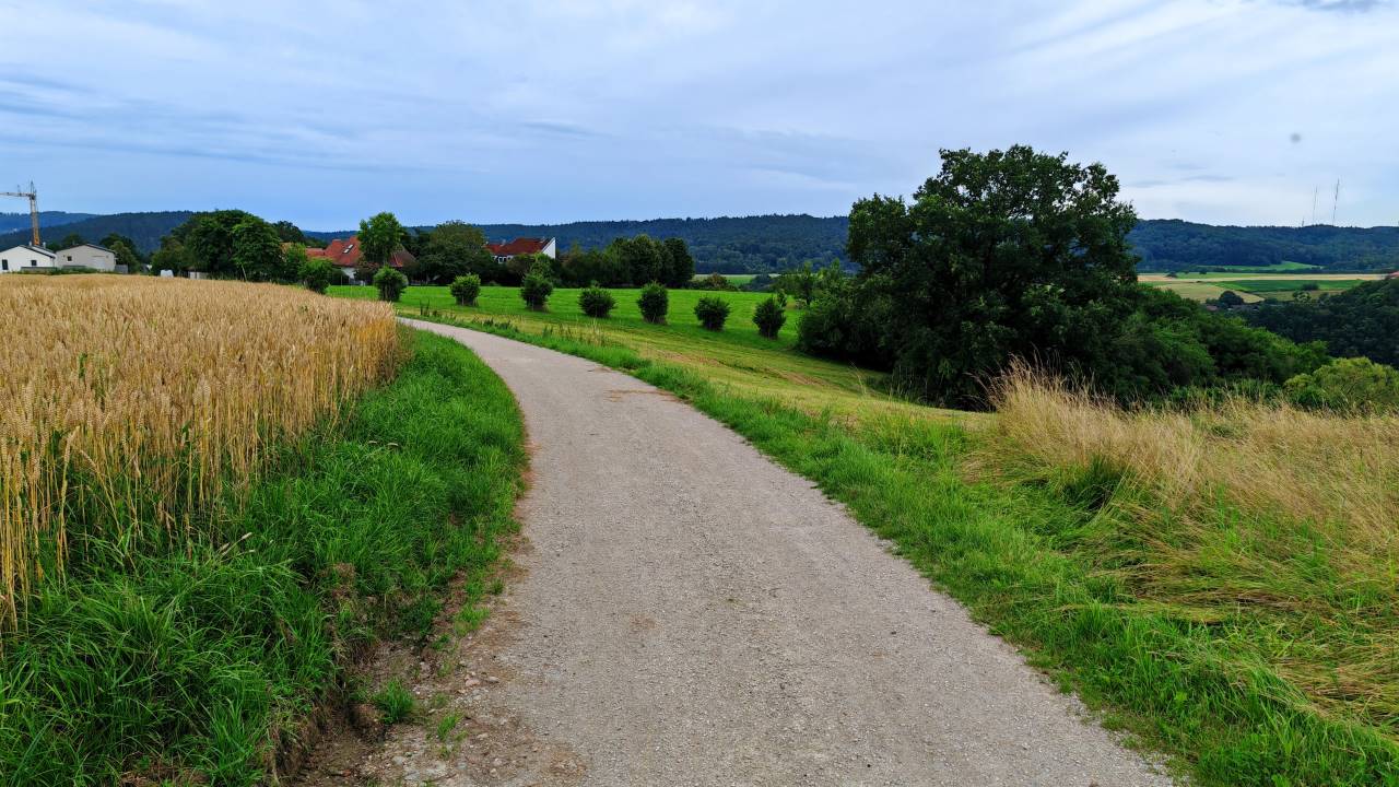 Mittelflotter Feierabendlauf mit viel Schwitz