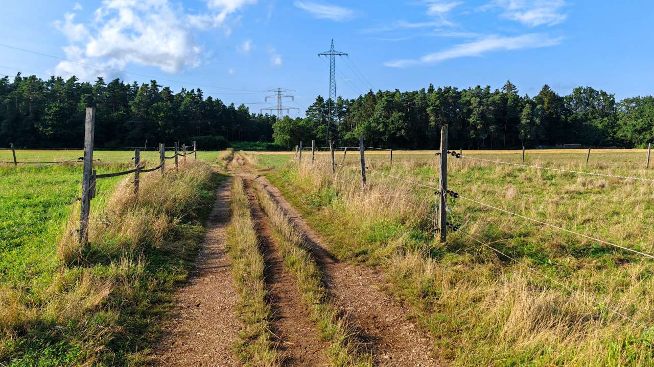 Feierabendlauf ins bitter nötige Wochenende