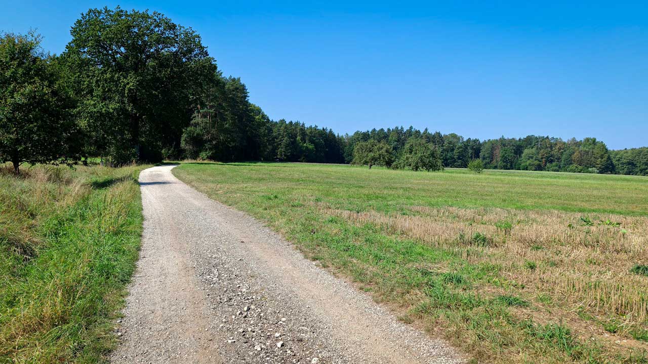 Urlaub sei Dank die 200 km im August geknackt