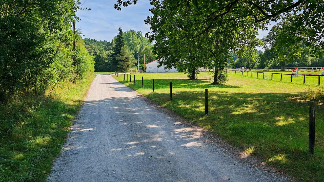 Viel zu heißer Mittagslauf aus Gründen