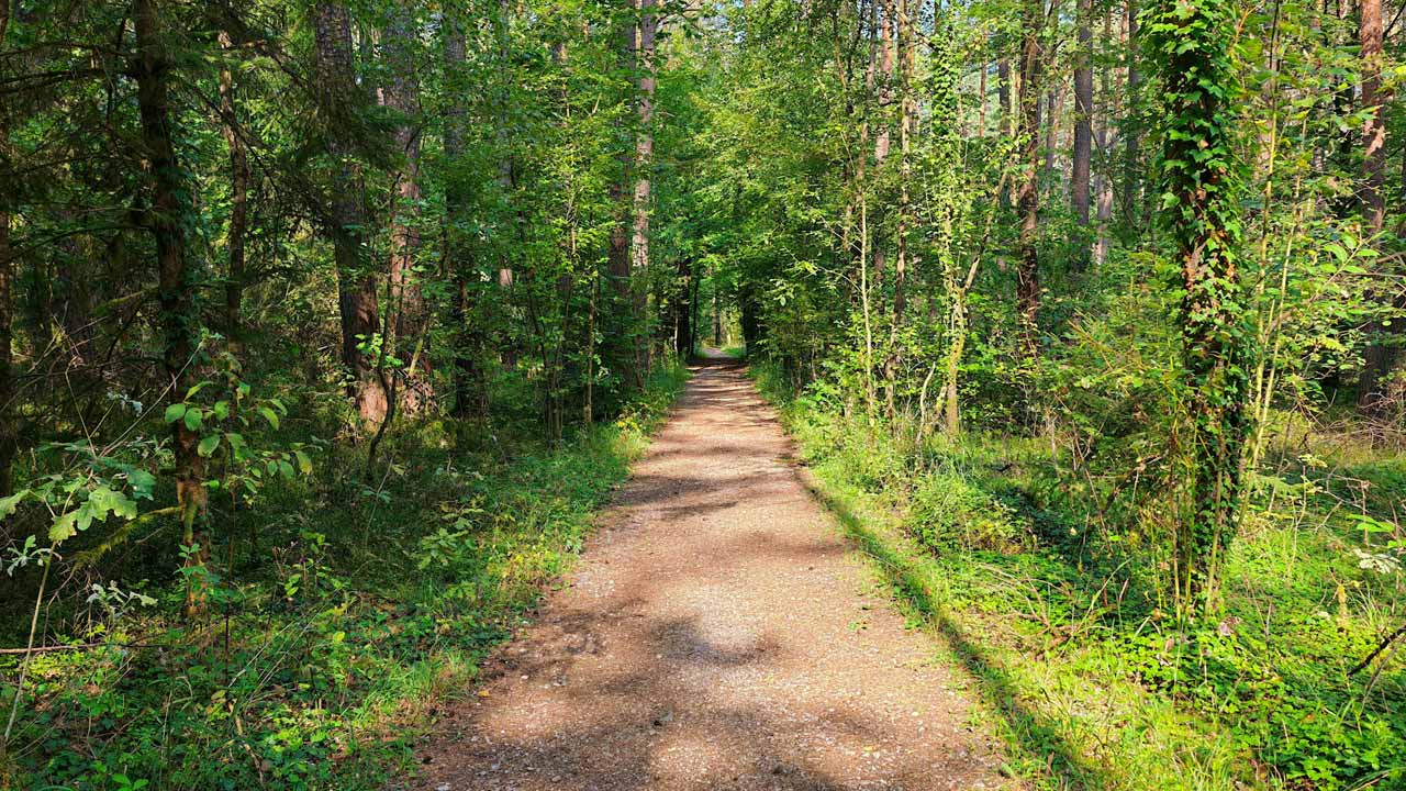 Ich beende den August mit 232 km