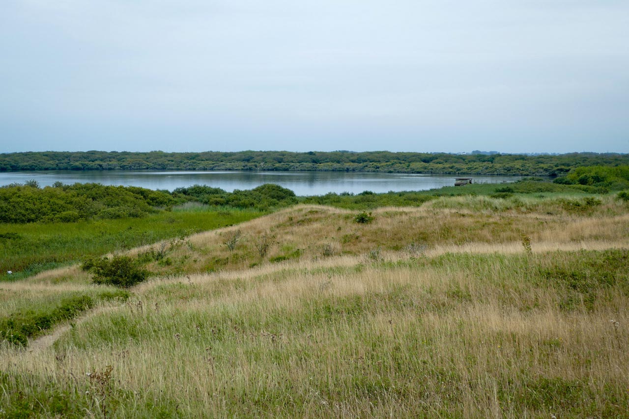 Blick über das Naturschutzgebiet Zwanenwater