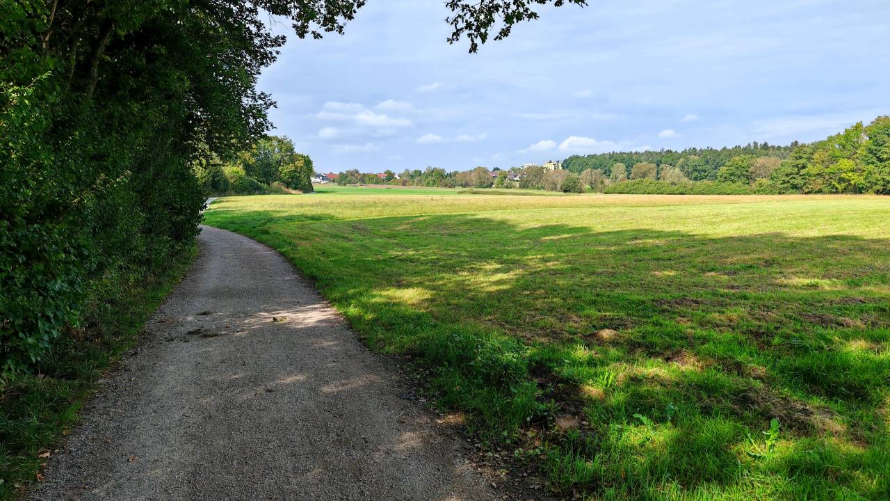 Sonniger Mittagslauf am Montag
