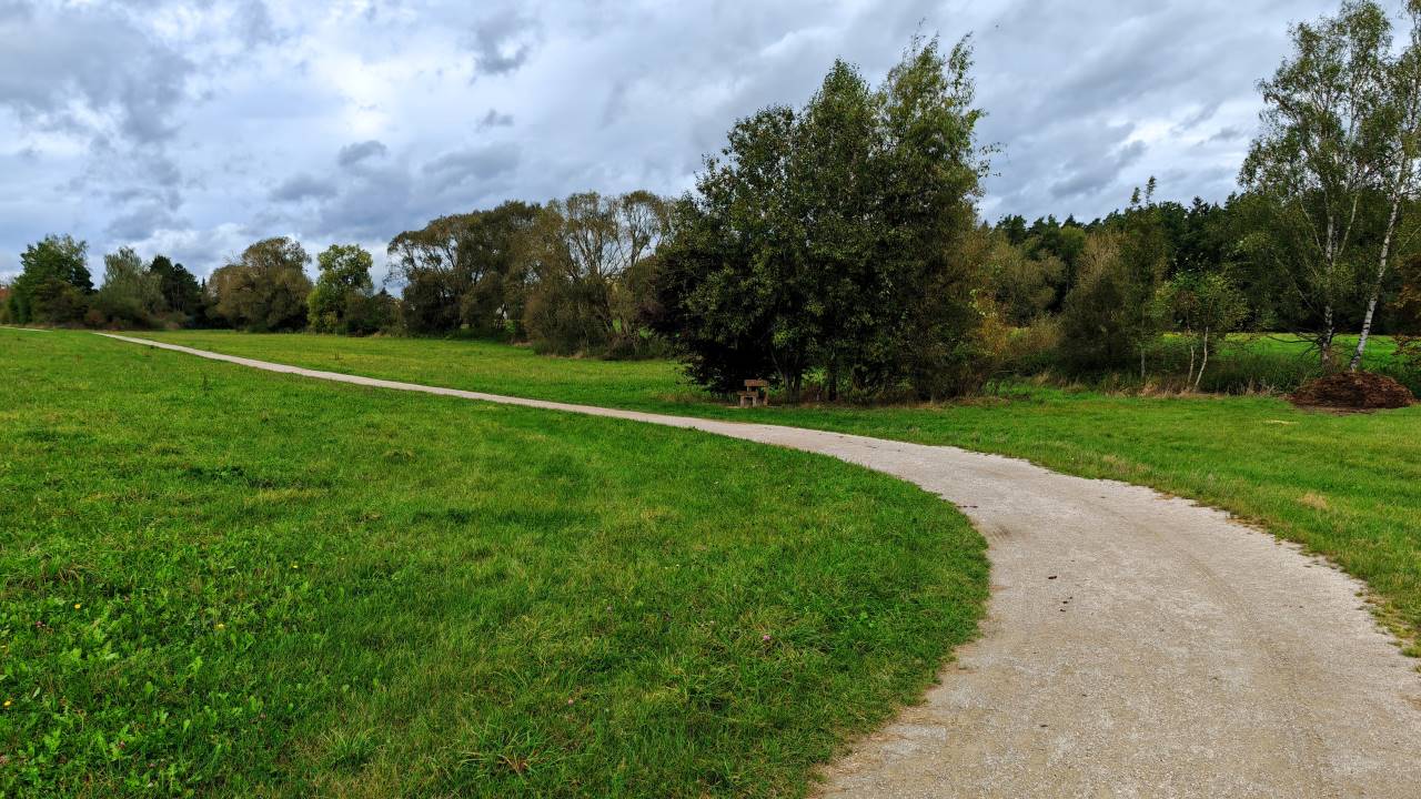 Träger Mittagslauf am Freitag