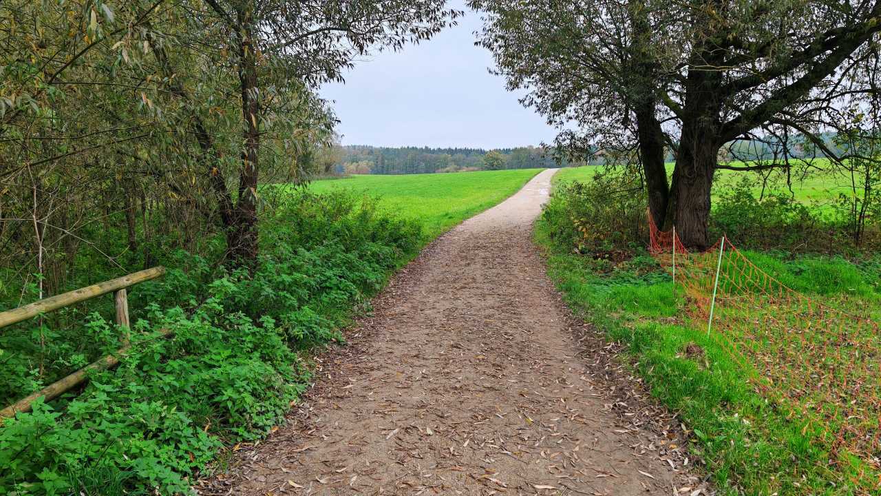 Erstaunlich motivierter Mittagslauf vor den Herbstferien