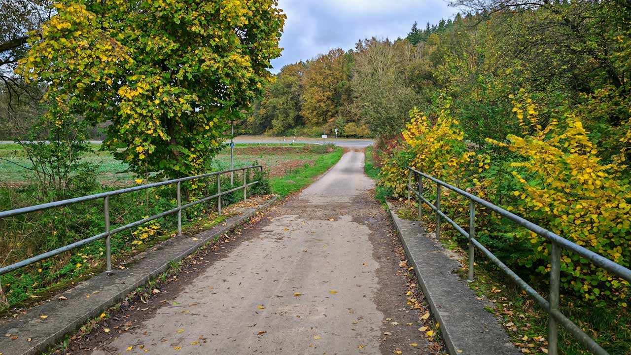 Samstagslauf mit neuen Schuhen
