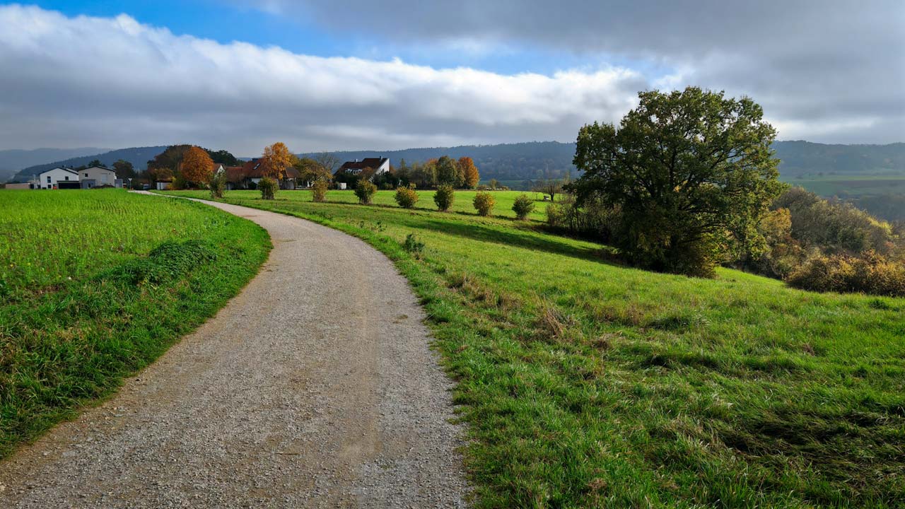 Kurzer Pausenlauf zwischen Kelleraktivitäten