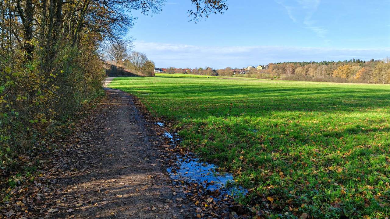 Herrliches Laufwetter zur Mittagszeit