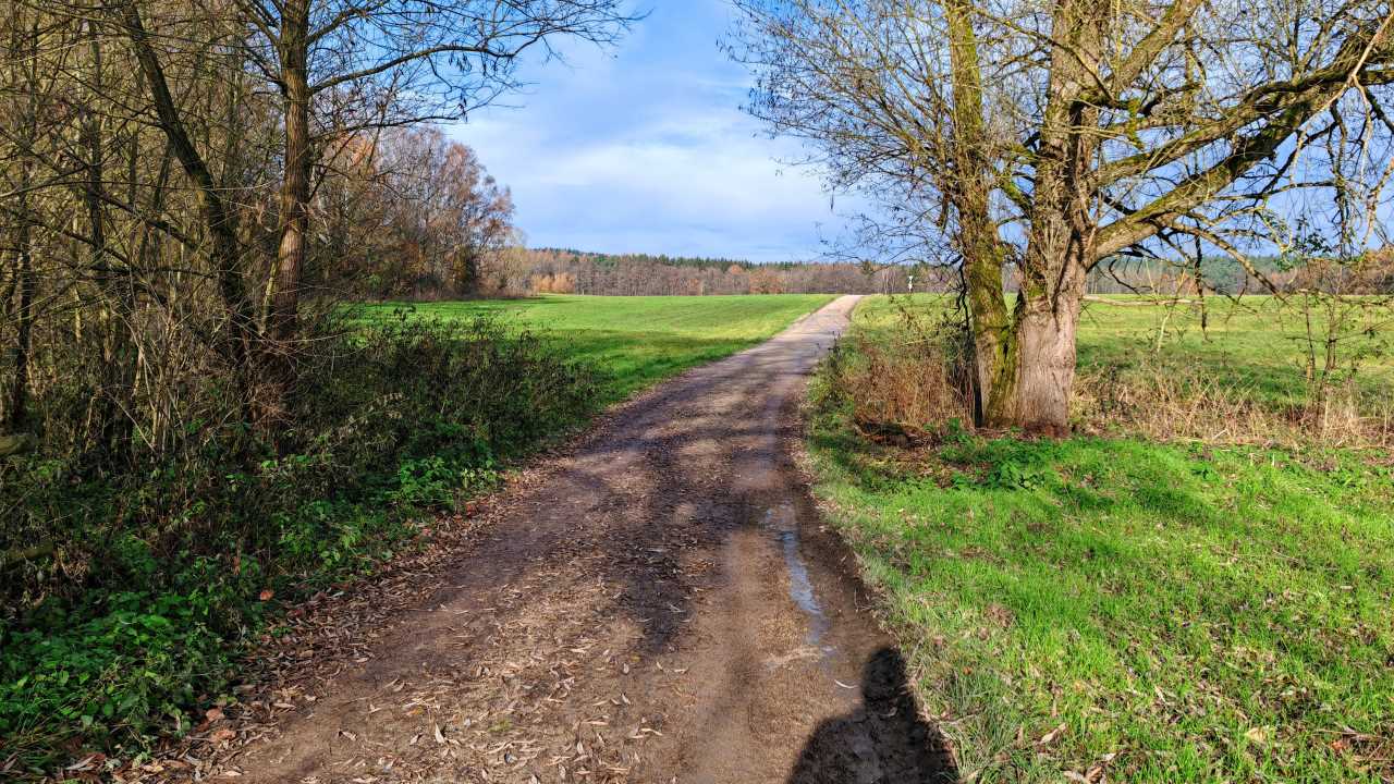 Sonniger Mittagslauf an viel zu vollem Tag