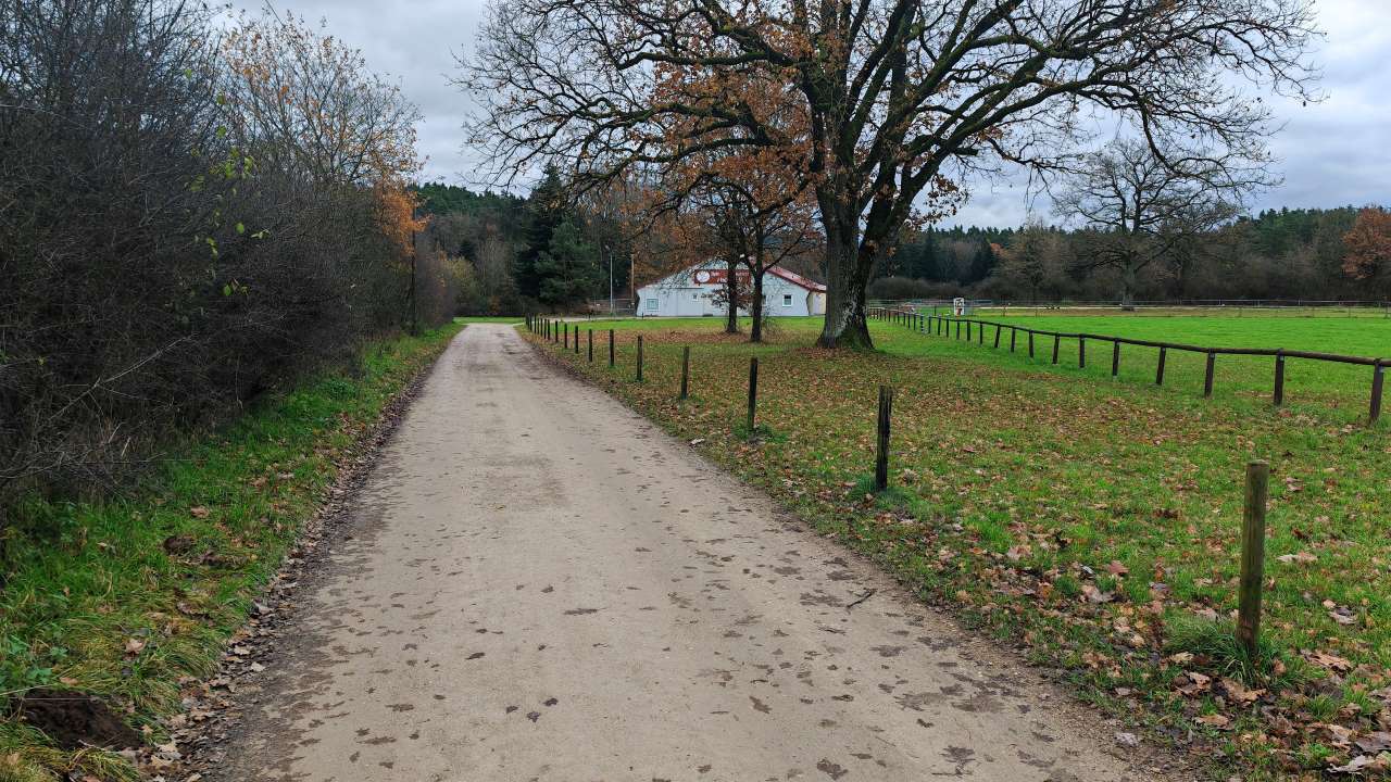 Der vierte Mittagspausenlauf diese Woche