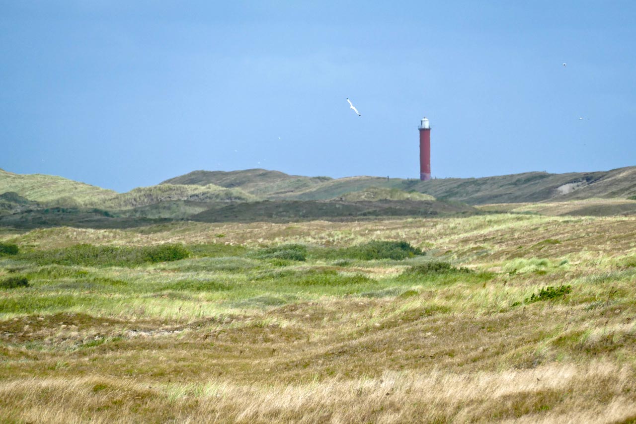 Der Leuchtturm vom Aussichtspunkt in Botgat aus