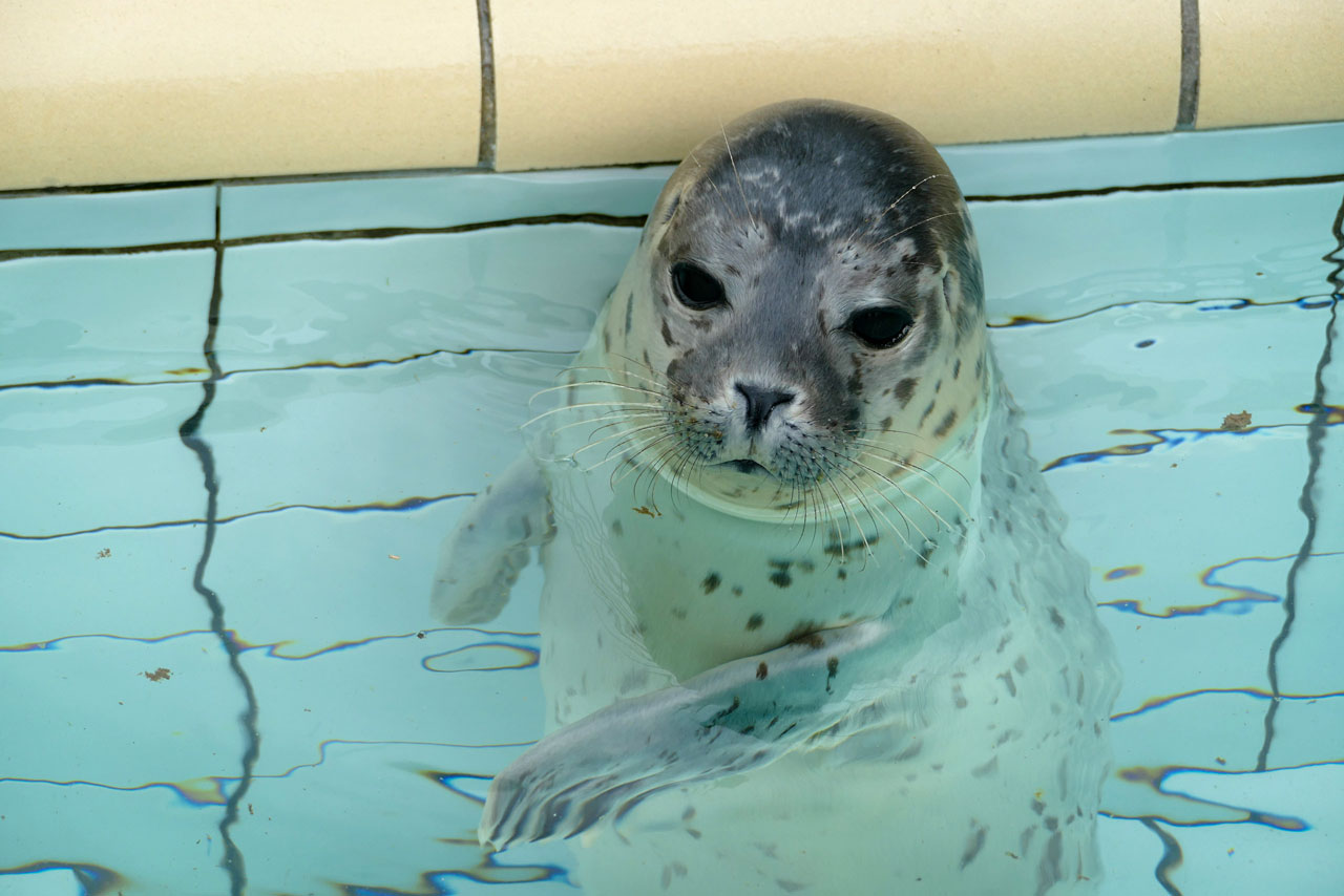 Wir sind auch unzählige Mal zu ihr zurückgekommen