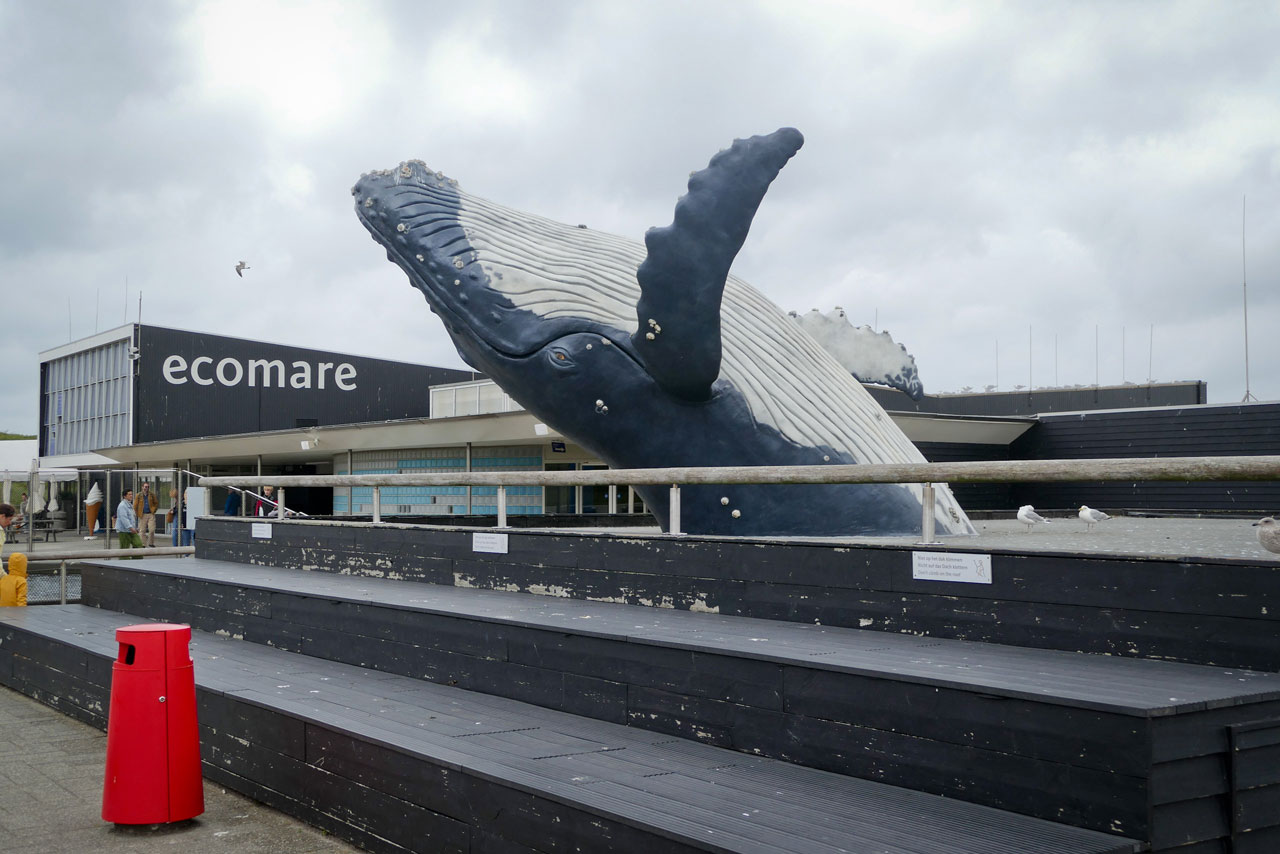 Der Außenbereich des Ecomare samt Kunststoffwal