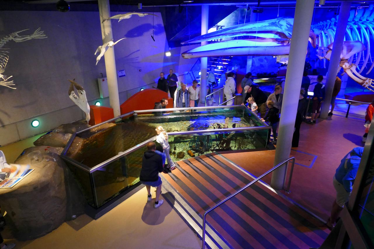 Der Innenbereich des Ecomare