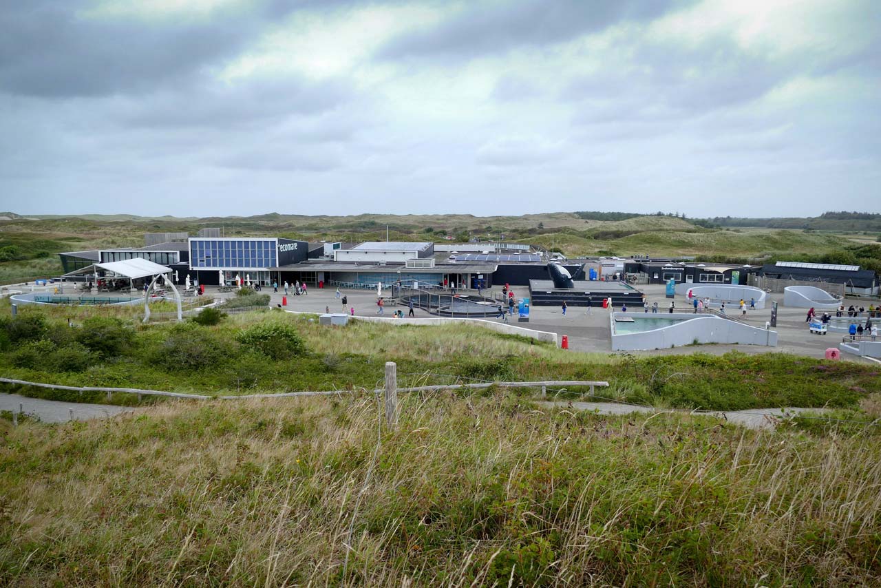 Der Blick auf das Ecomare aus den Dünen