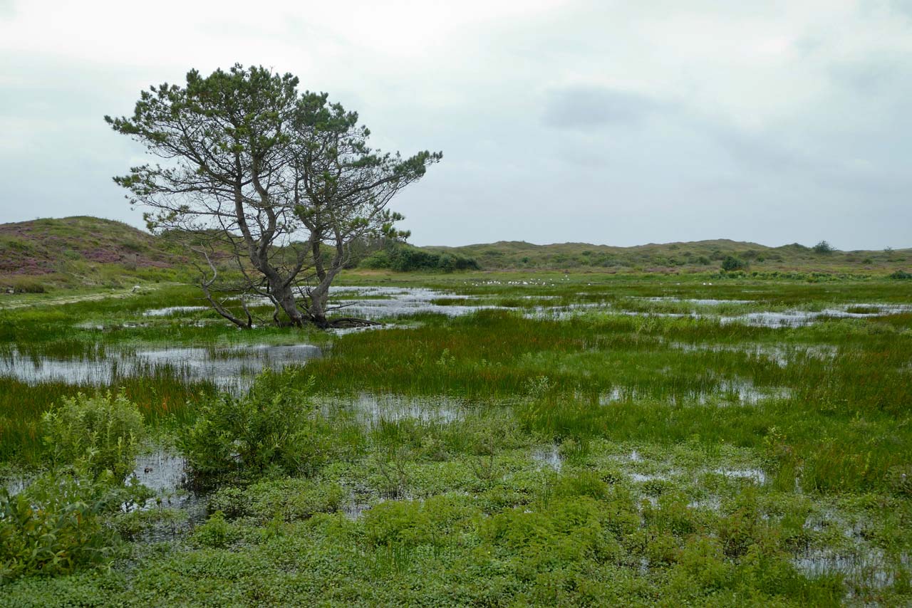 Auf dem Rundweg hatten wir uns auch glatt verlaufen