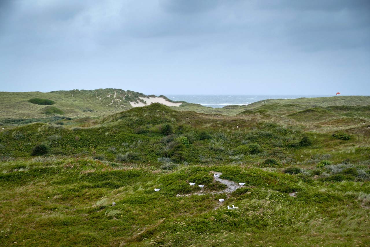 Am Horizont konnte man auch das Meer sehen