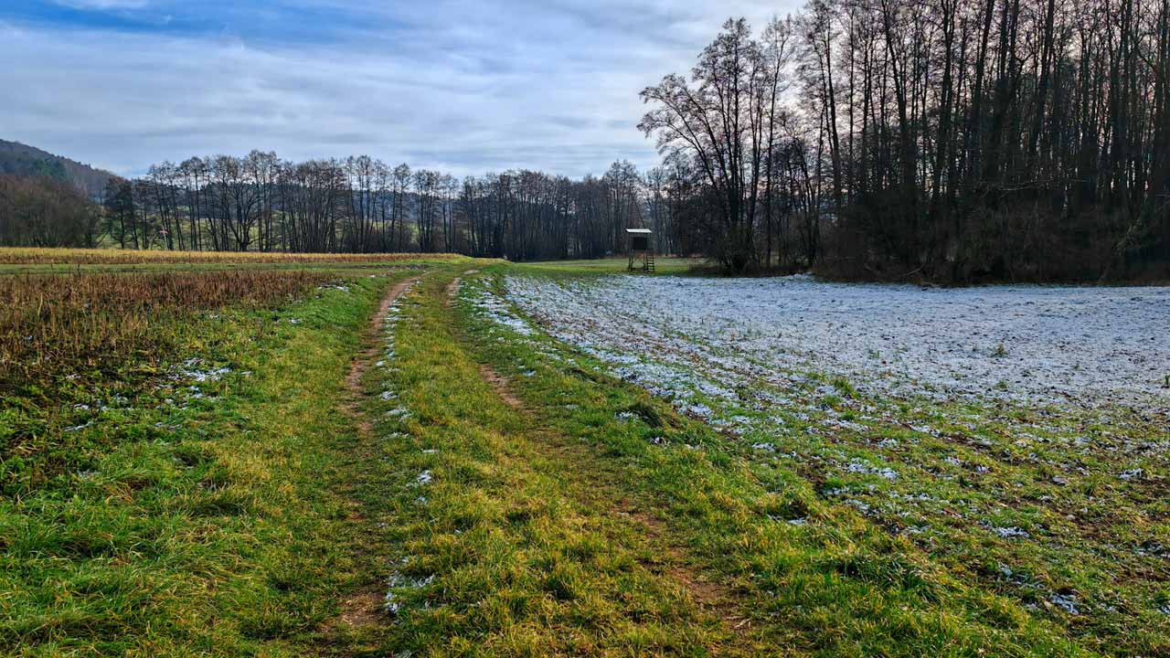 Neujahrslauf mit einem km pro verspeistem Raclette-Pfännchen