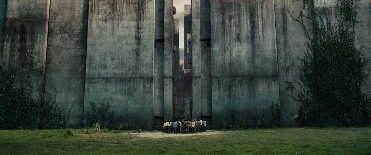 Maze Runner: Die Auserwählten im Labyrinth (2014) | © 20th Century Fox