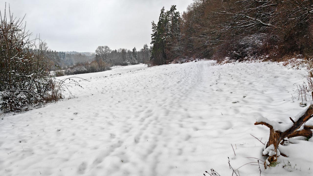 Wilder Lauf durch matschigen Schnee und Eisregen