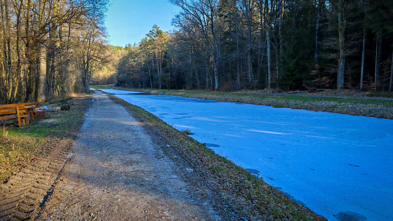 Die Woche mit 56 km abgeschlossen und damit die ersten 100 km des Jahres vollgemacht