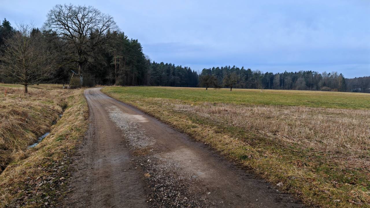 Früher Samstagslauf mit vielen Telefonaten wegen liegengebliebenem Auto