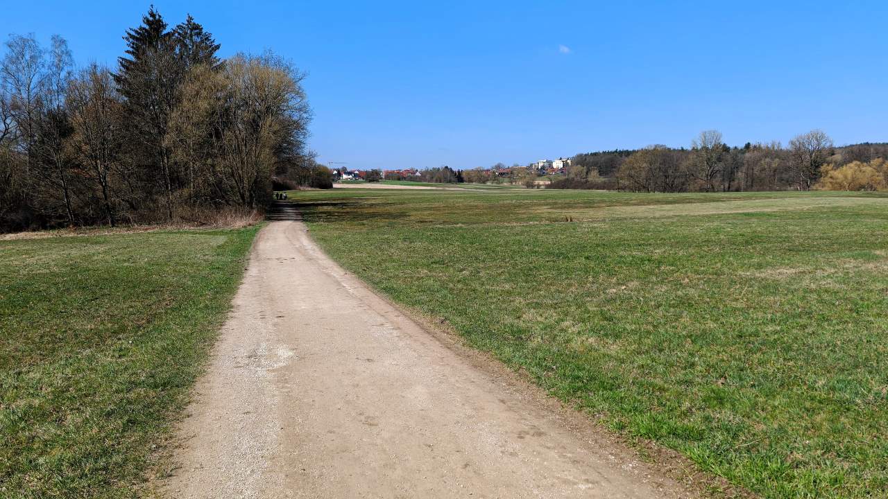 Laufversuch mit Muskelkater des Todes (Boxtraining ist schuld)